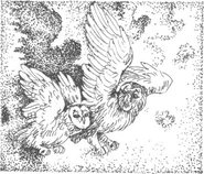 Nyroc (left) fleeing with Phillip (right.)