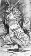Spoorn (Owl on the right) in the illustration for chapter 12 of the Seige