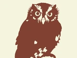 Bo