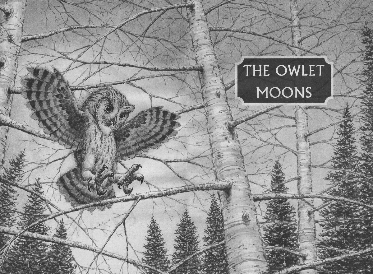 The Rise of a Legend Guardians of Ga’Hoole Wiki Fandom