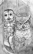 (Ch. 15) Otulissa in the GGE's prison while Bubo apologizes for being forced to make the bars.