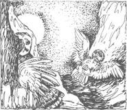 Корин (Нирок) и Отулисса, первая встреча