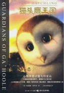 Alternate Chinese cover