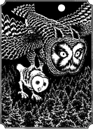 "...and then the forest of the Kingdom of Tyto seemed to grow smaller and smaller and dimmer and dimmer in the night..."