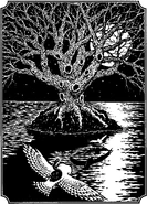 "... the four owls looked below and saw the vast sea glinting with silver spangles from the moon's light and then, directly ahead, spreading into the night, were the twisting branches of the largest tree they had ever seen, the Great Ga'Hoole Tree."
