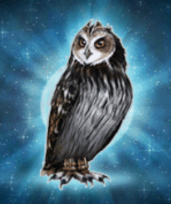 ニンテンドーDS - DS★LEGEND OF THE GUARDIANS THE OWLS OF Legend of the Guardians: The Owls of Ga'Hoole (video game