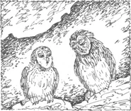 Phillip telling Nyroc his story.