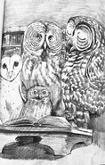 (Ch. 25) Otulissa (right) teaching a group of owlets about the ancient legend of the first collier, Grank. Students picture are Fritha (middle-front), Wensel (left), and Buck (middle-back).