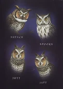 Back cover illustrations