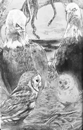 (Ch. 3) Nyroc with Mist at the Eagle's nest. Streak, Zan, Slynella, and Stingyll stand behind them.
