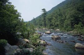 Mountain river