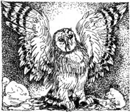 Nyra angered by Nyroc's disappearance.