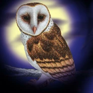 Сорен в книге