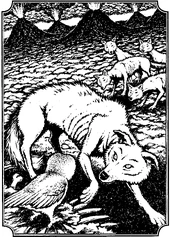 "The wolves stood back as Hamish came forward and tucked in next to Coryn on the hindquarter. "I'm not used to this much meat. I mostly gnaw bones." "So I've heard," Coryn replied."
