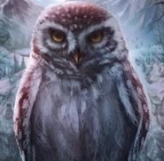 On the Chinese cover of To Be A King