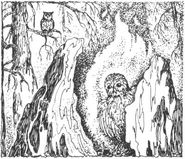 Creating the forge on the Unnamed Island. Theo watches on.