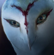 Nyra's avatar on Ga'Hoole website