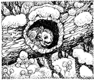 Nyroc hiding in a fallen log.
