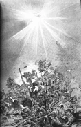 (Ch. 28) Coryn arriving at the Great Ga'Hoole Tree with the Ember of Hoole.