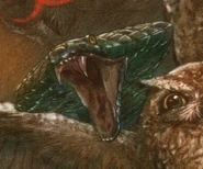 Octavia on the Japanese cover of Rise of a Legend