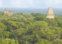 Tikal 2