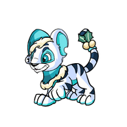 Kougra