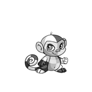 CheckeredMynci.png (18 KB) Checkered