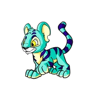 Kougra