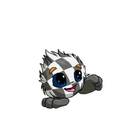 CheckeredJubjub.png (21 KB) Checkered