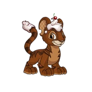 Chocolate Kougra.png (40 KB) Chocolate