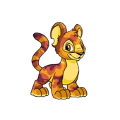 Camouflage Kougra.png (36 KB) Kougra