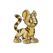 BiscuitKougra.png (35 KB) Kougra