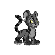 Kougra shadow.png (62 KB) Shadow