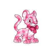 Kougra valentine.png (27 KB) Valentine