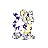 Kougra white.png (31 KB) White