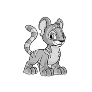 Kougra