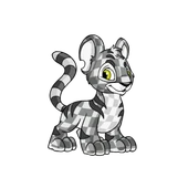 Kougra