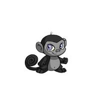 ShadowMynci.png (43 KB) Shadow