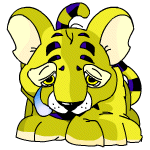 Kougra yellow sad.gif (10 KB)