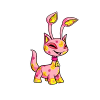 DiscoAisha