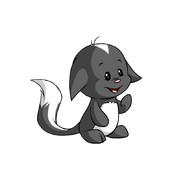 Skunk