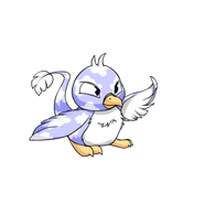 Pteri