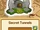 Secret Tunnels