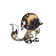 Polka Dot