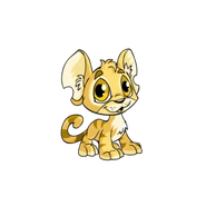 Kougra