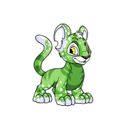 Kougra Speckled.png (23 KB) Speckled