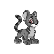 GreyKougra.png (18 KB) Kougra