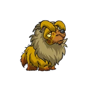 Gnorbu