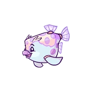 Prismatic Iridescent Maraquan