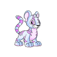 Kougra striped.png (20 KB) Striped